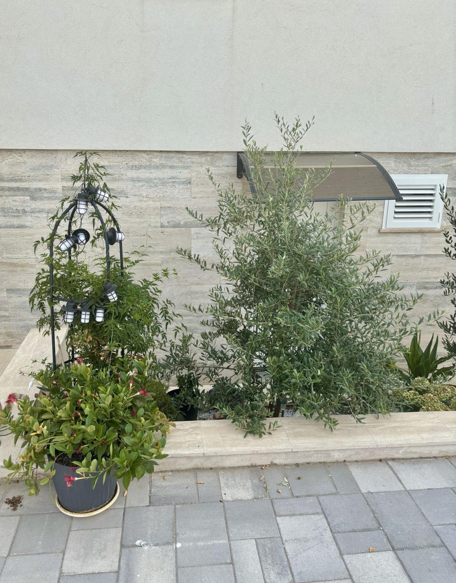 Vila Regina Apartment Rex With Swimming Pool Jezera Buitenkant foto