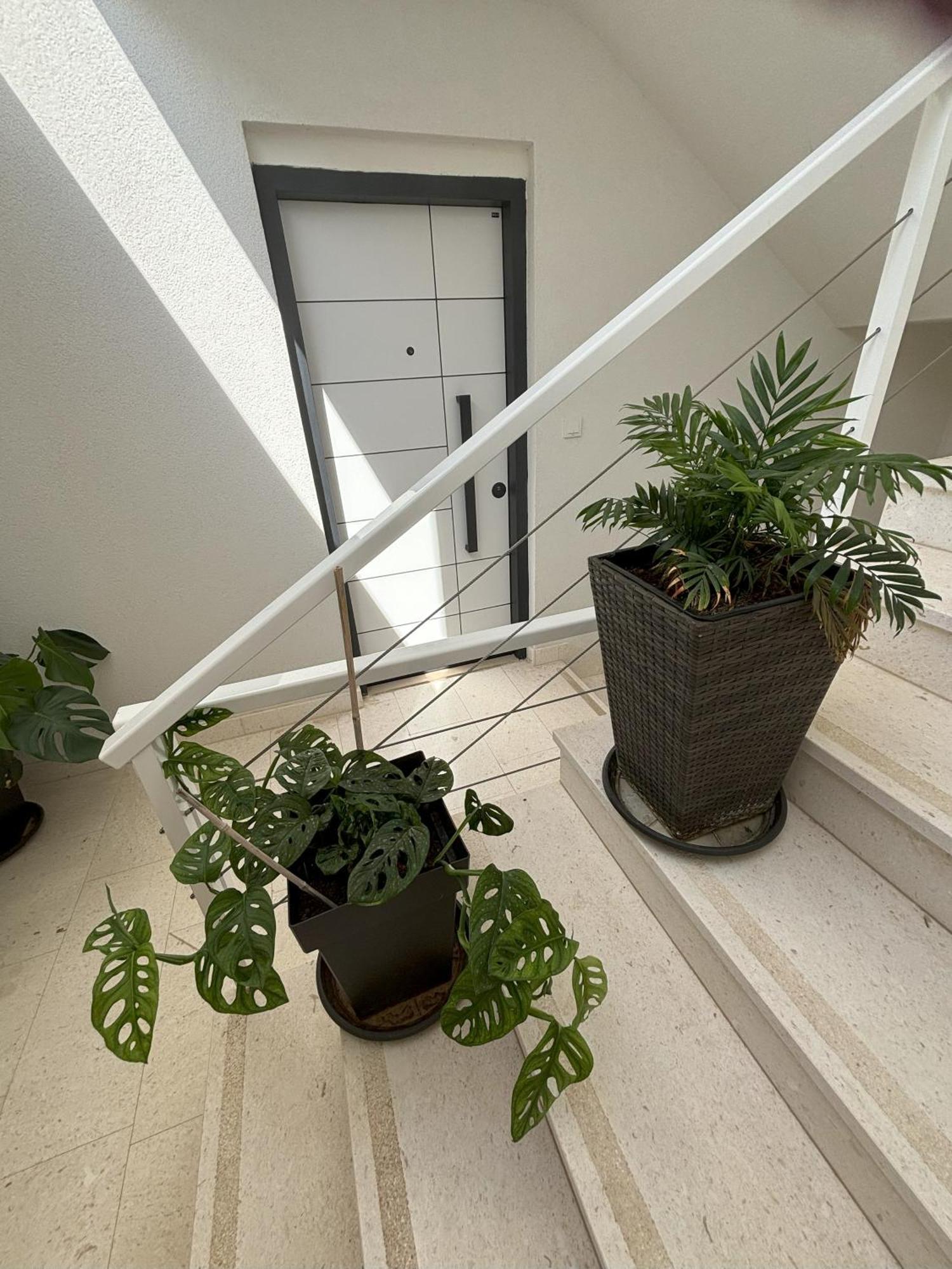 Vila Regina Apartment Rex With Swimming Pool Jezera Buitenkant foto